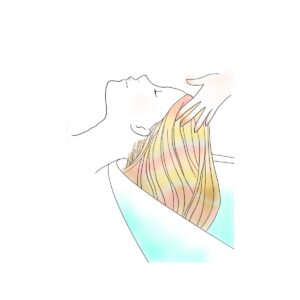 Read more about the article ヘッドスパが進化しました！酵素の力で“育てる頭皮”へ